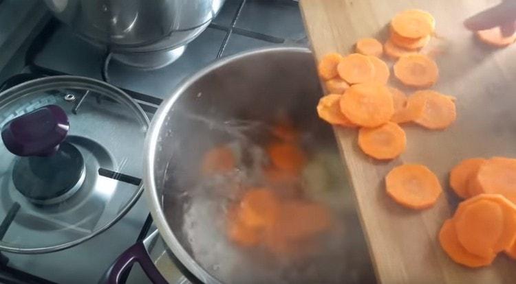 Разстиламе моркова след лука.