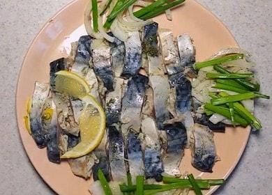 Ang pagluluto ng mackerel sagudai ayon sa isang hakbang-hakbang na recipe gamit ang isang larawan.