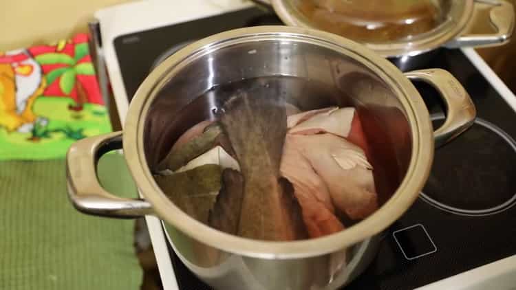 Chcete-li vařit rybí polévku z burbot, vařte vývar